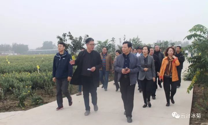 云臺冰菊基地發(fā)生了什么？一批批領(lǐng)導(dǎo)專家團(tuán)隊(duì)前來！